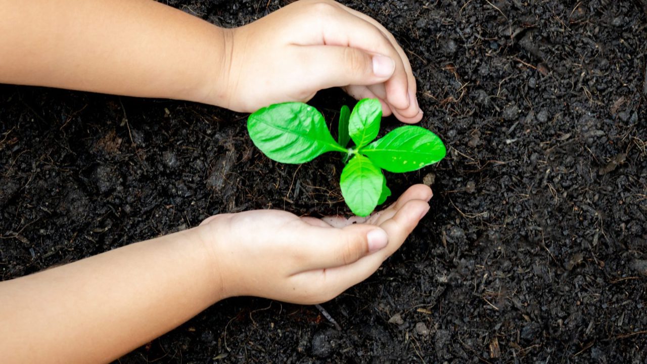 AdobeStock_268366313-scaled-1920w copy