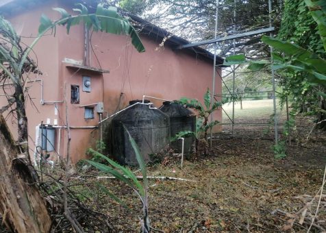 IMG_20230126_093952-1418w